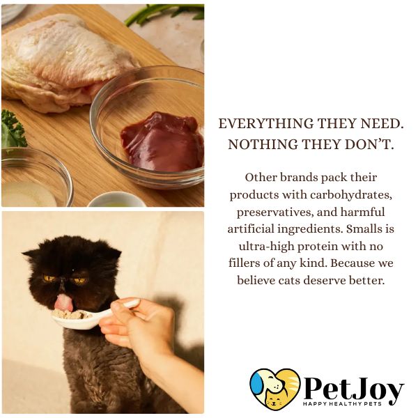 Advanced Daily Multivitamin for Cats