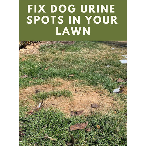 Green Keeper XL (120 count) - Subscribe and Save