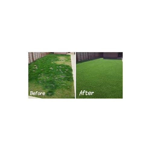 Green Keeper XL (120 count) - Subscribe and Save