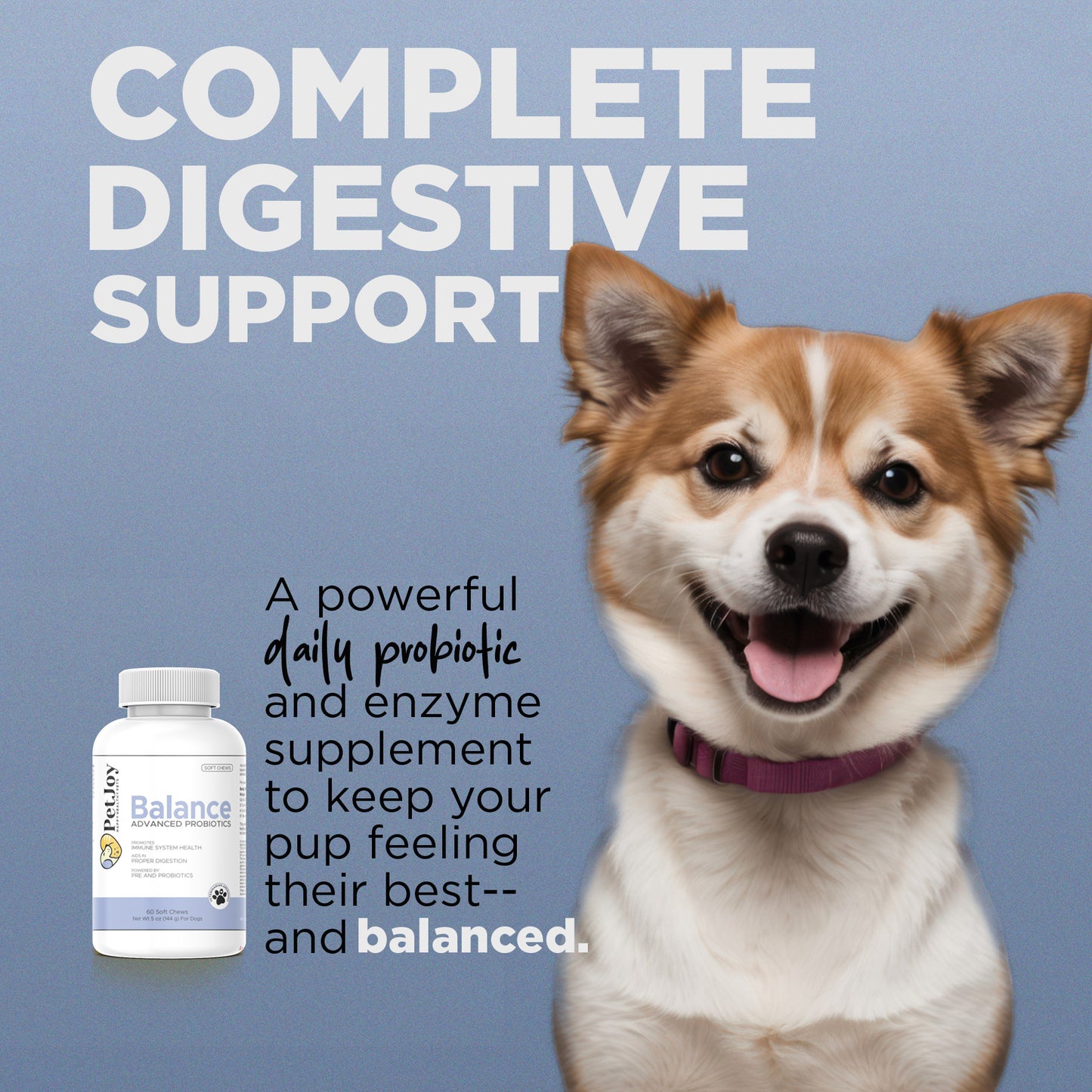 Balance Advanced Probiotic Supplement