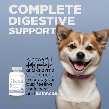 Balance Advanced Probiotic Supplement