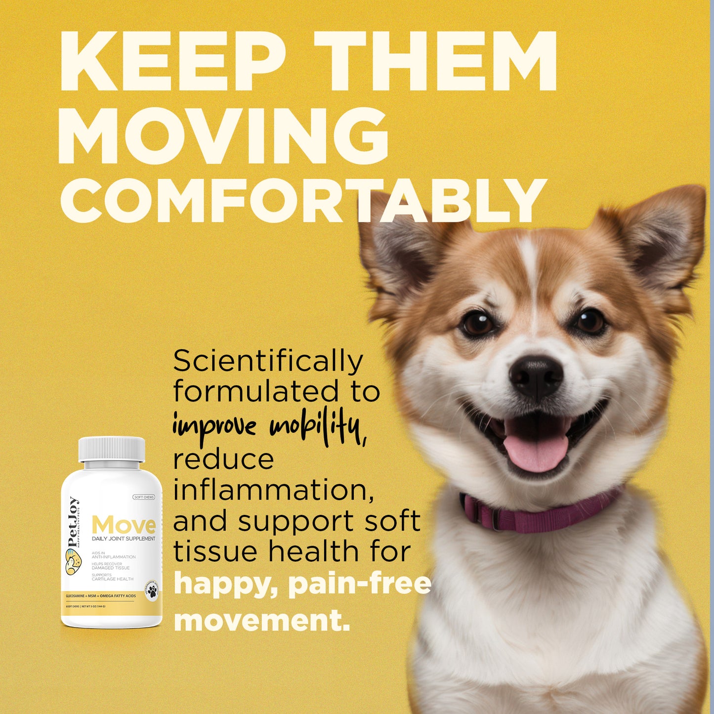 Move Daily Joint Supplement 3 Bottle Bundle