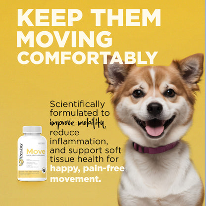 Move Daily Joint Supplement 3 Bottle Bundle