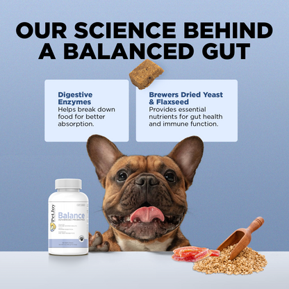 Balance Advanced Probiotic Supplement