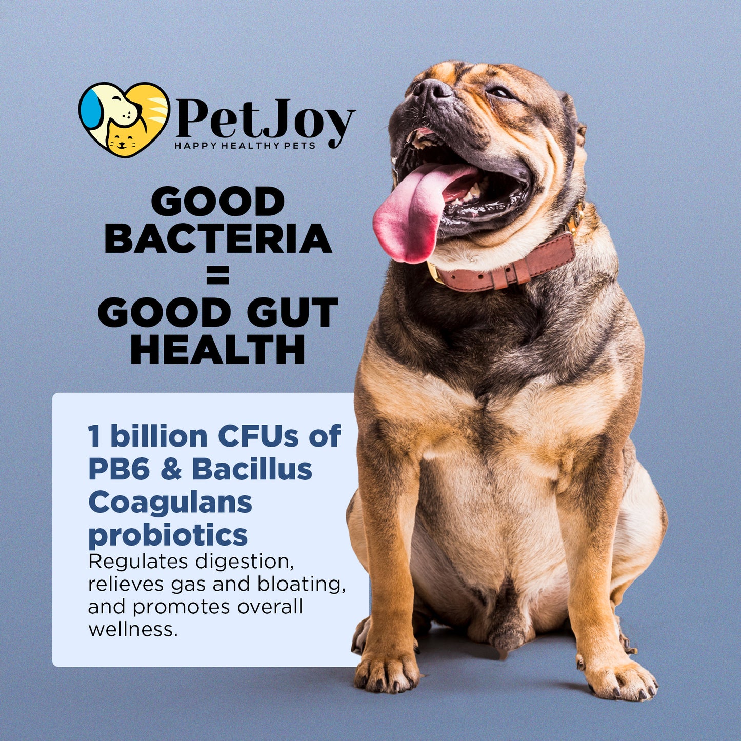 Balance Advanced Probiotic Supplement